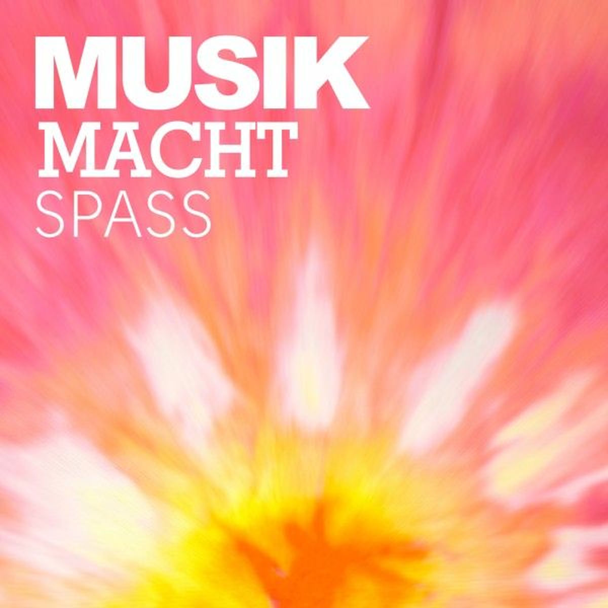 Album cover of Musik macht Spass