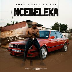 Cover of Ncebeleka
