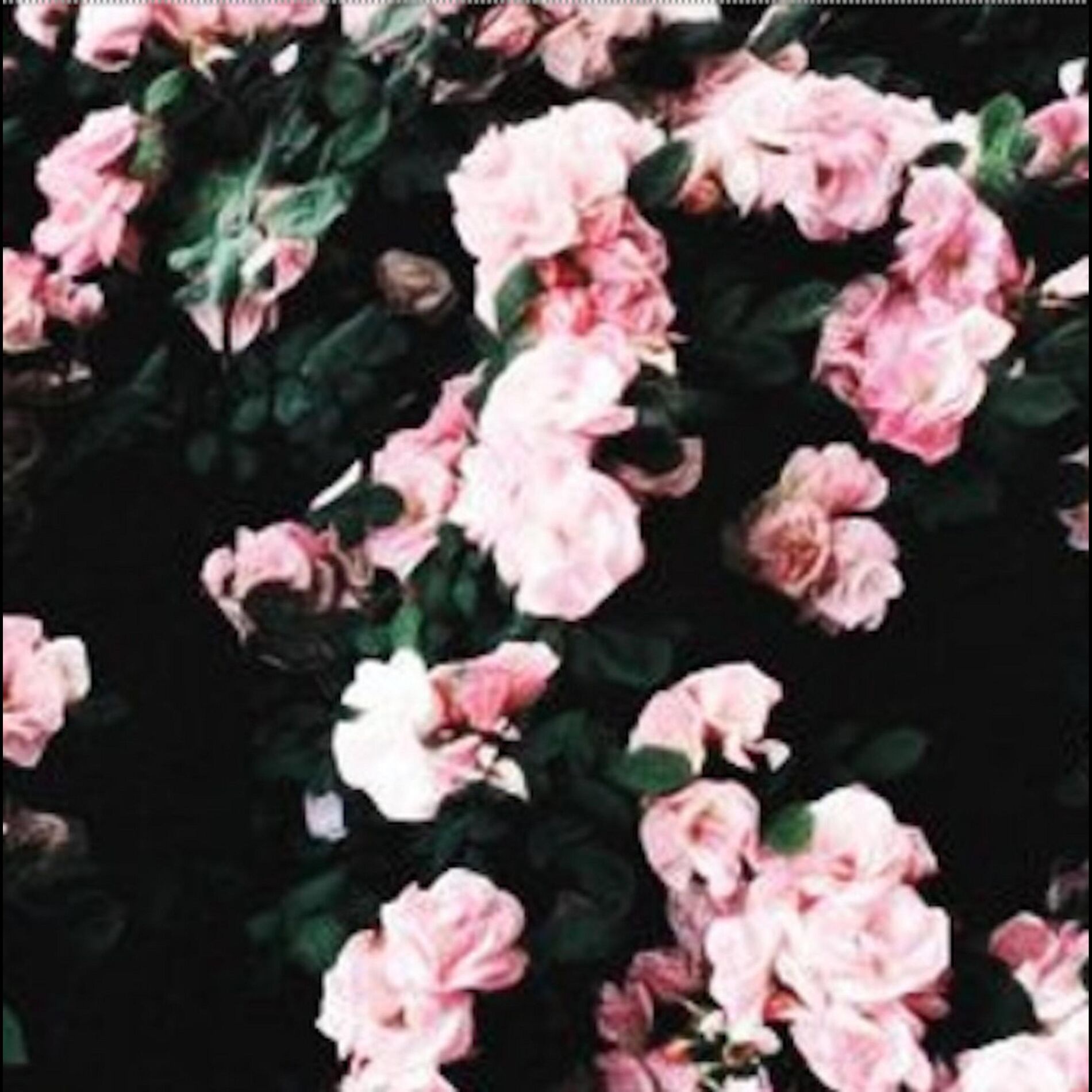 Album cover of Fleur de Mer