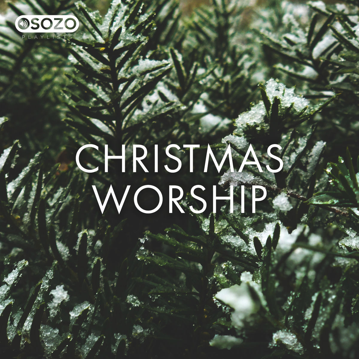 Album cover of Christmas Worship