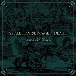 Cover of Shards of Glass