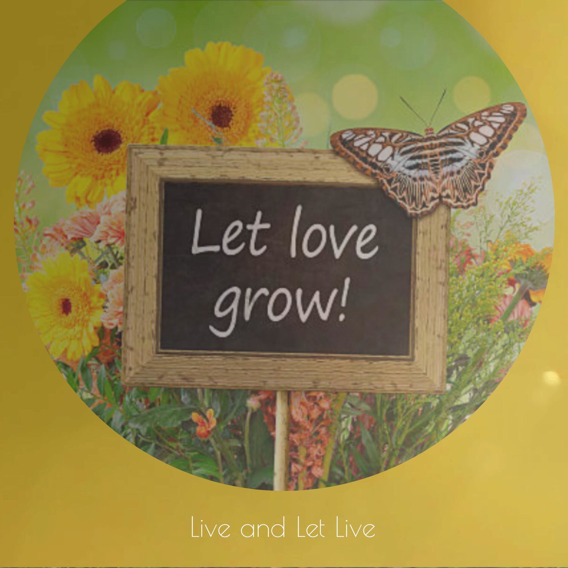 Album cover of Live and Let Live