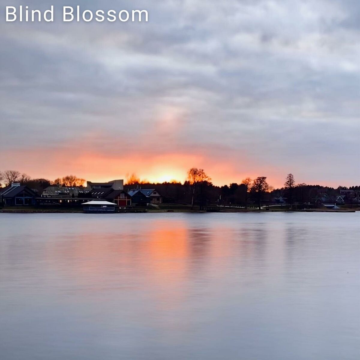Album cover of Blind Blossom
