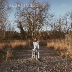Cover of Pulsaciones