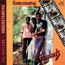 Cover of Understanding