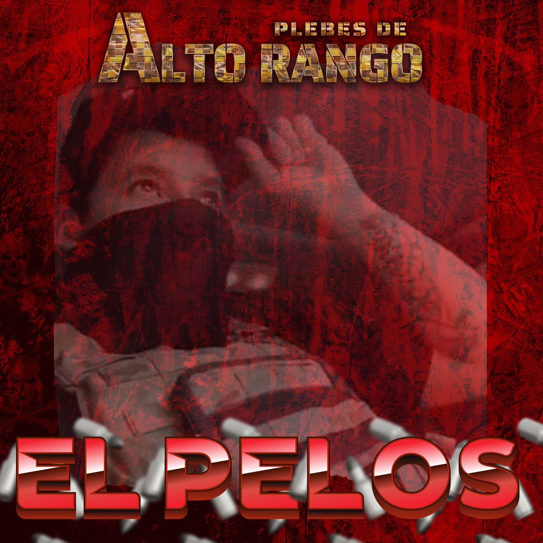 Album cover of El Pelos
