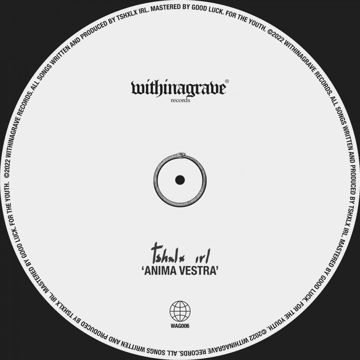 Album cover of Anima Vestra