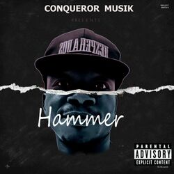 Cover of Hammer