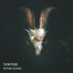 Cover of Spitting Feathers