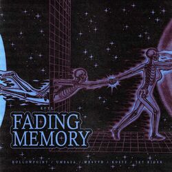 Cover of FADING MEMORY