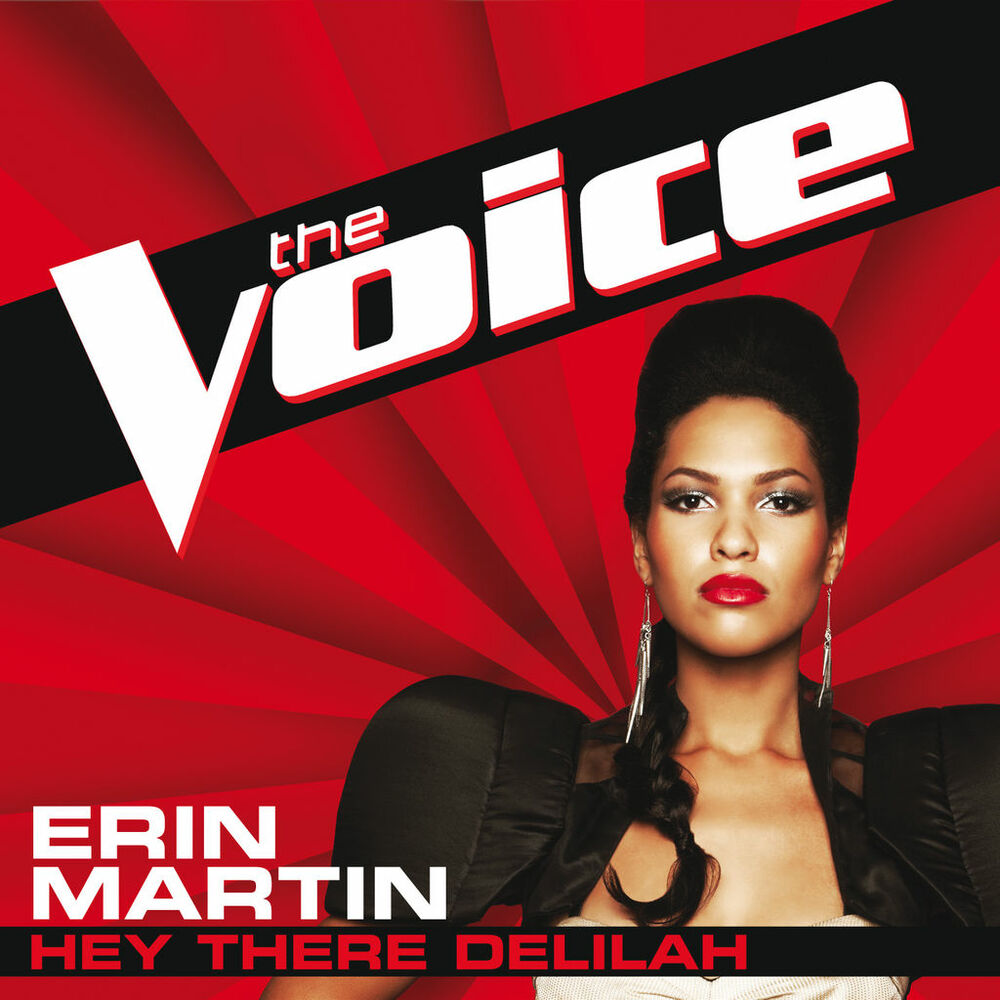 Picture of Hey There Delilah (The Voice Performance)