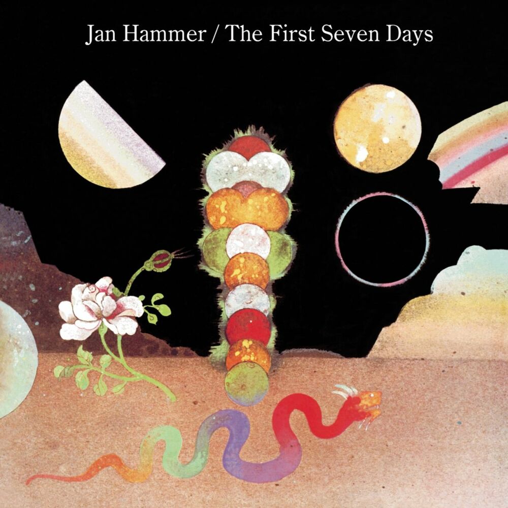 Picture of The First Seven Days