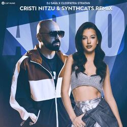 Cover of Adio (Cristi Nitzu & Synthcats Remix)