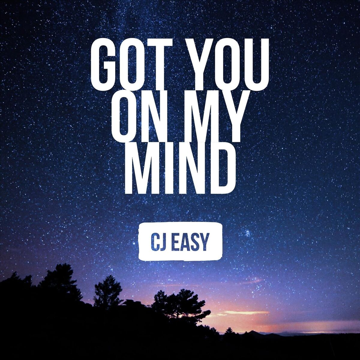 Album cover of Got You on My Mind