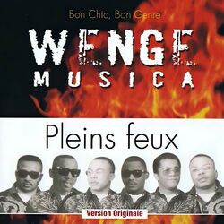 Cover of Pleins feux