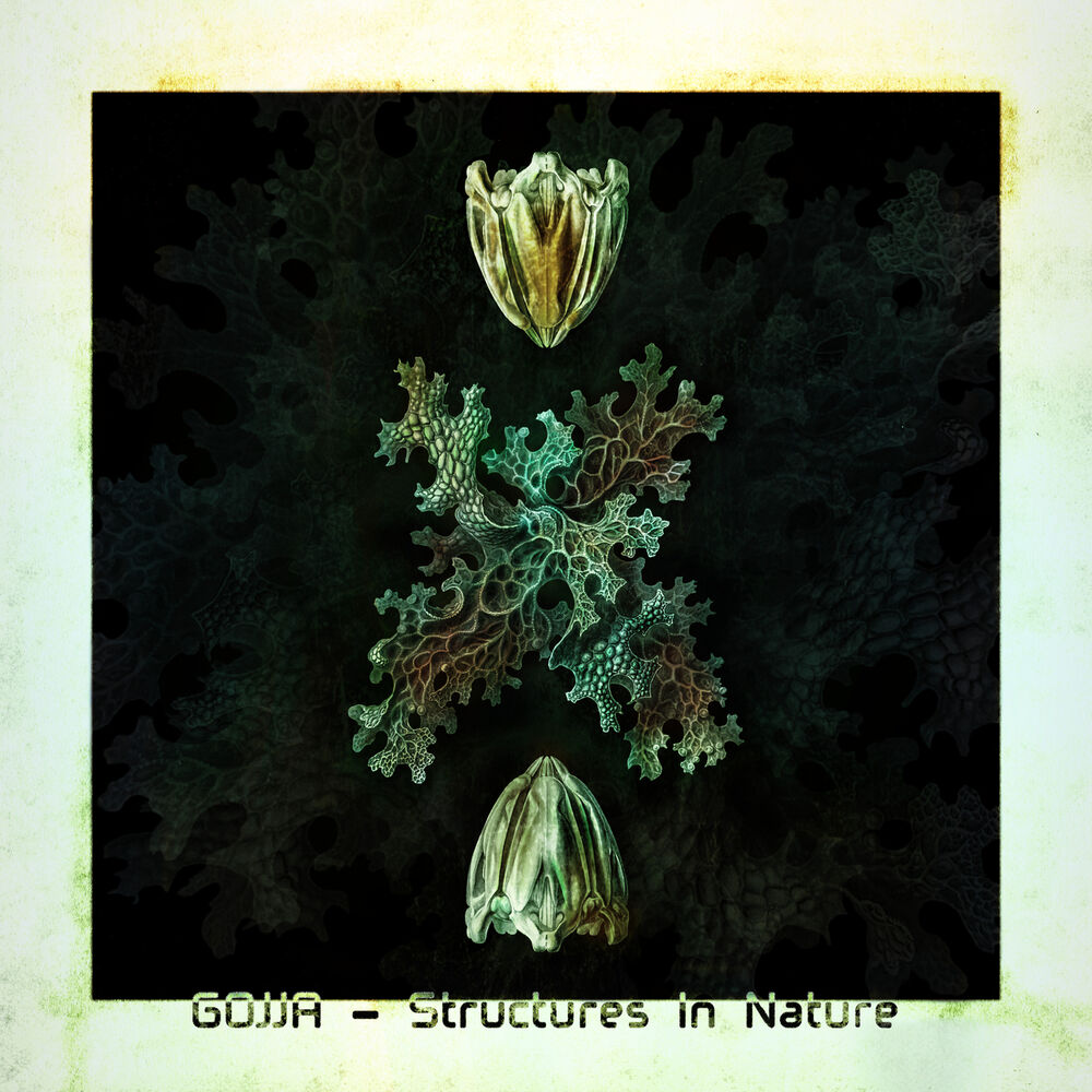 Picture of Structures In Nature
