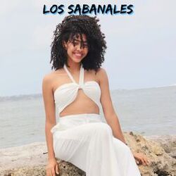Cover of Los Sabanales