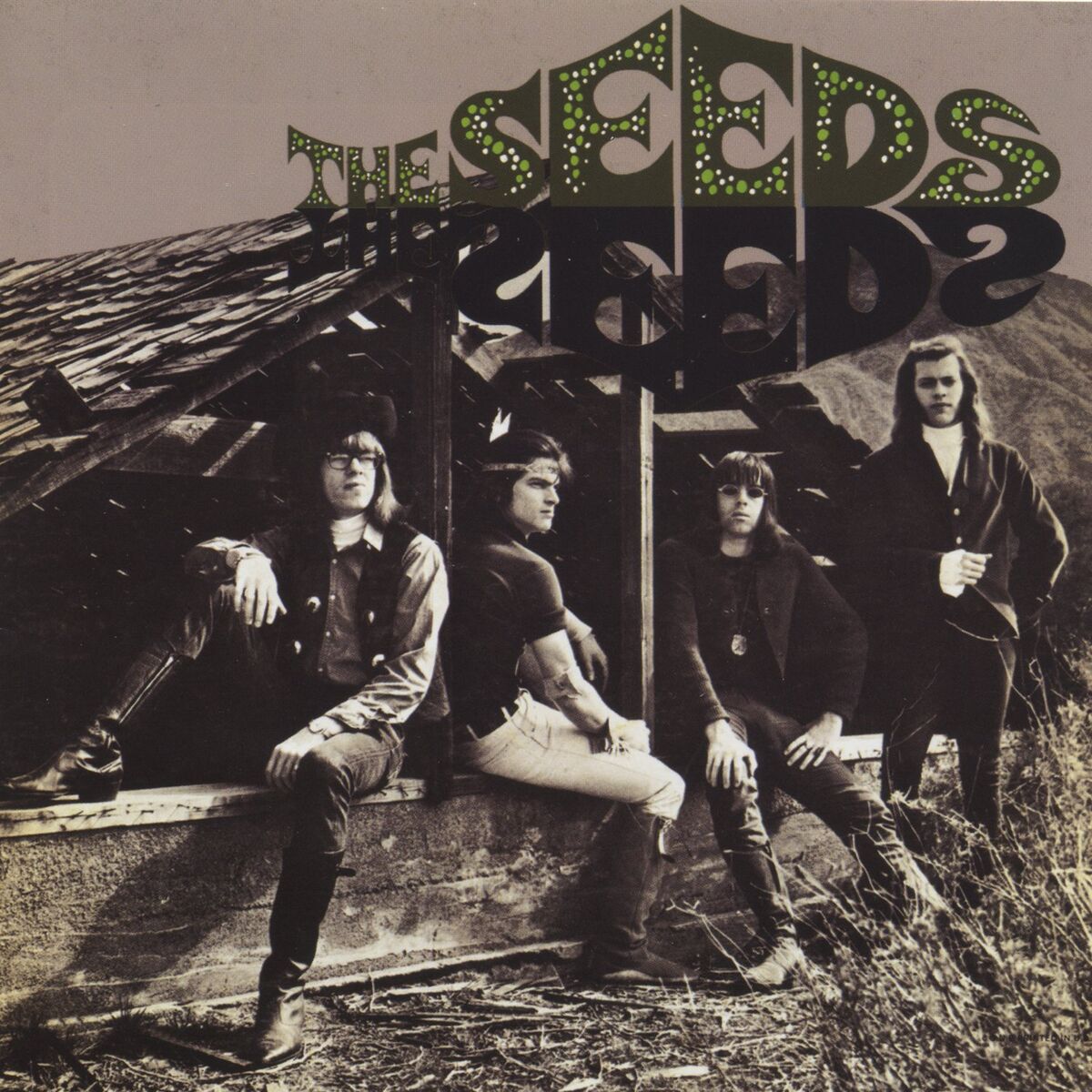 Album cover of The Seeds (Deluxe Reissue)