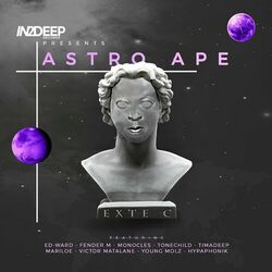 Cover of In2deep Records Presents Astro Ape