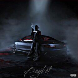 Cover of Boykot