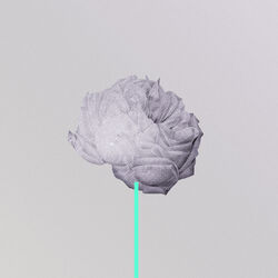 Cover of Under The Ivy