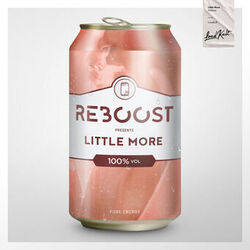 Cover of Little More