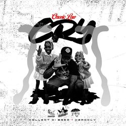 Cover of Cry