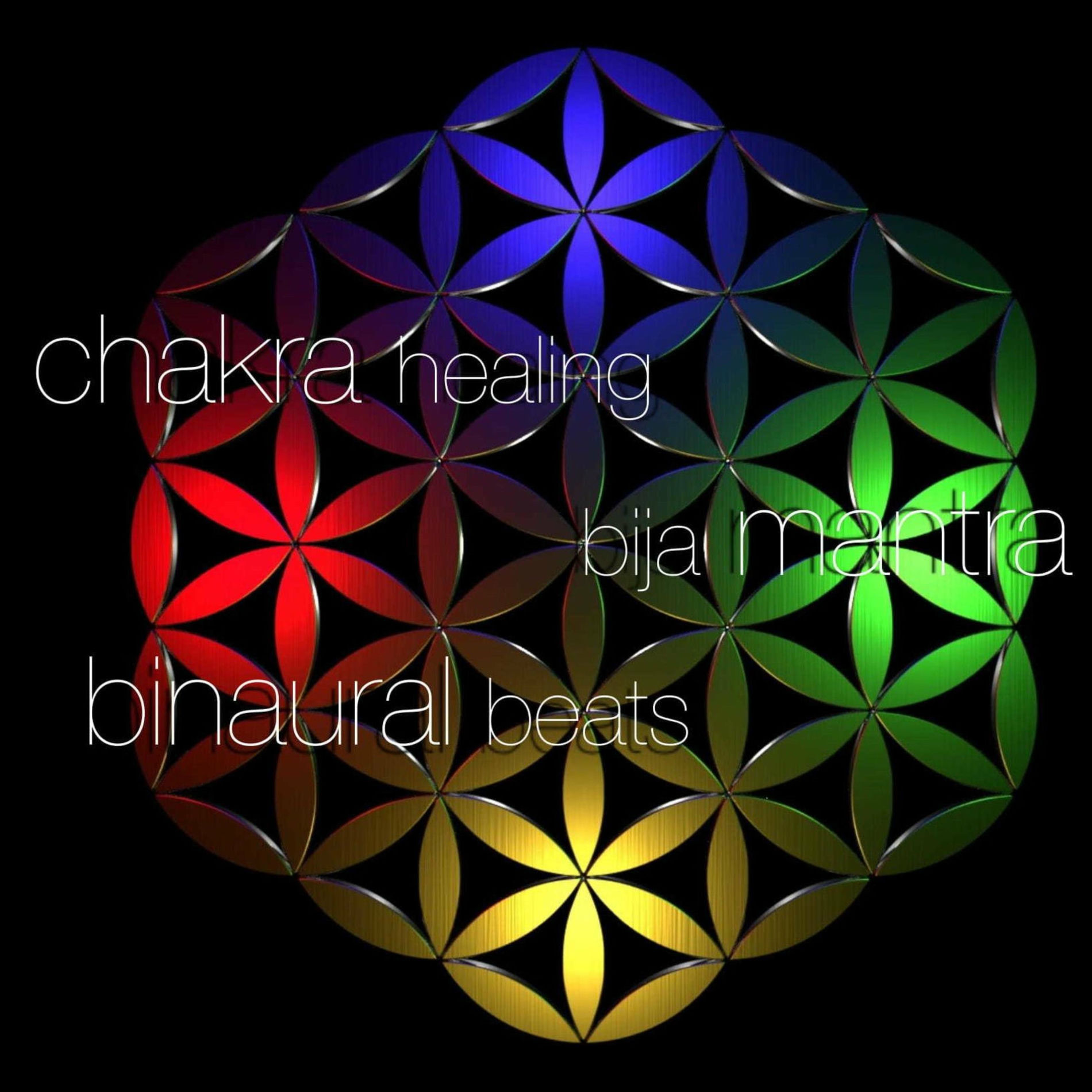 Album cover of Chakra Healing Bija Mantra