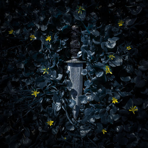 Ashes