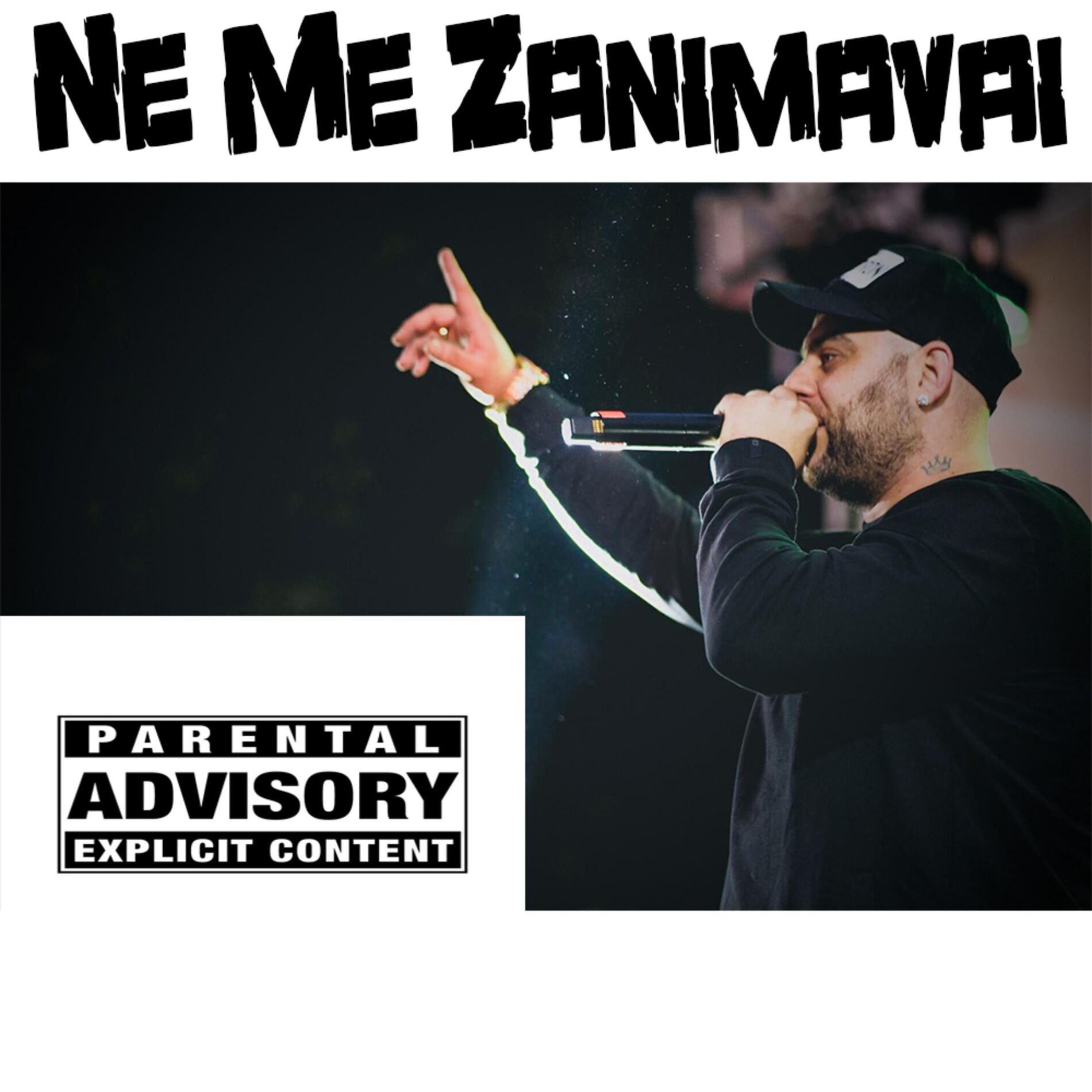 Album cover of Ne Me Zanimavai (feat. Big Daddy Sho & Andre)