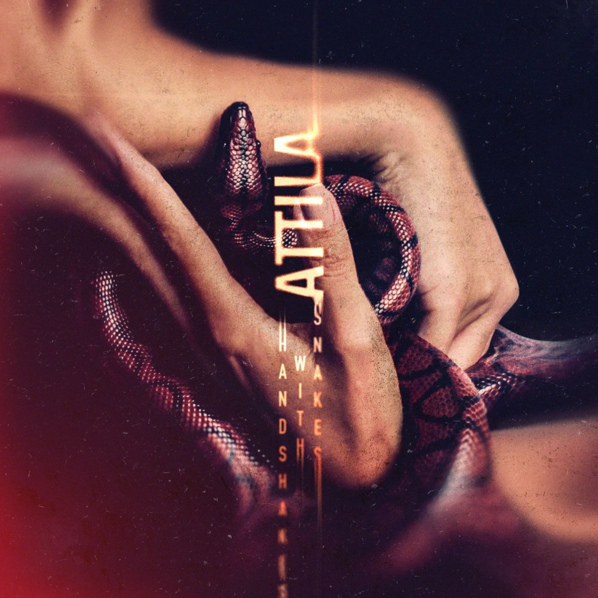 Album cover of Handshakes With Snakes