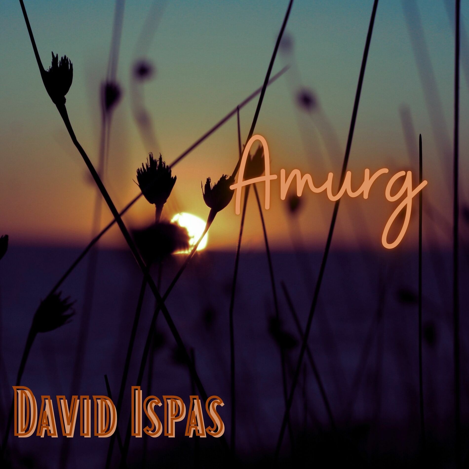Album cover of Amăgit de vreme