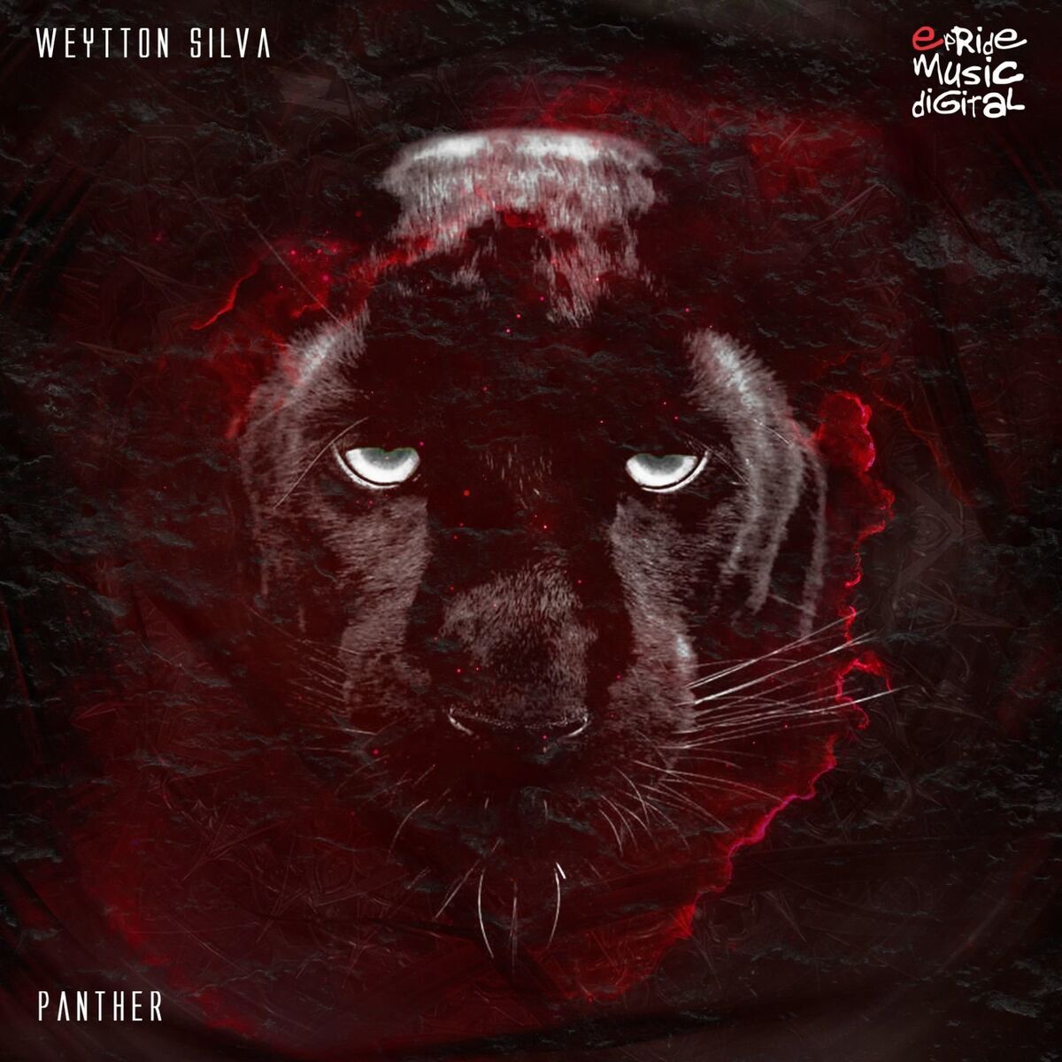 Album cover of Panther
