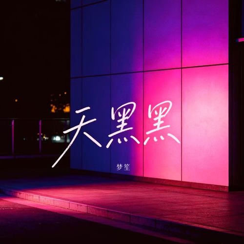 天黑黑(我走在每天必须面对的分岔路)