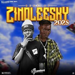 Cover of Best of Zinoleesky (2025 Mix)