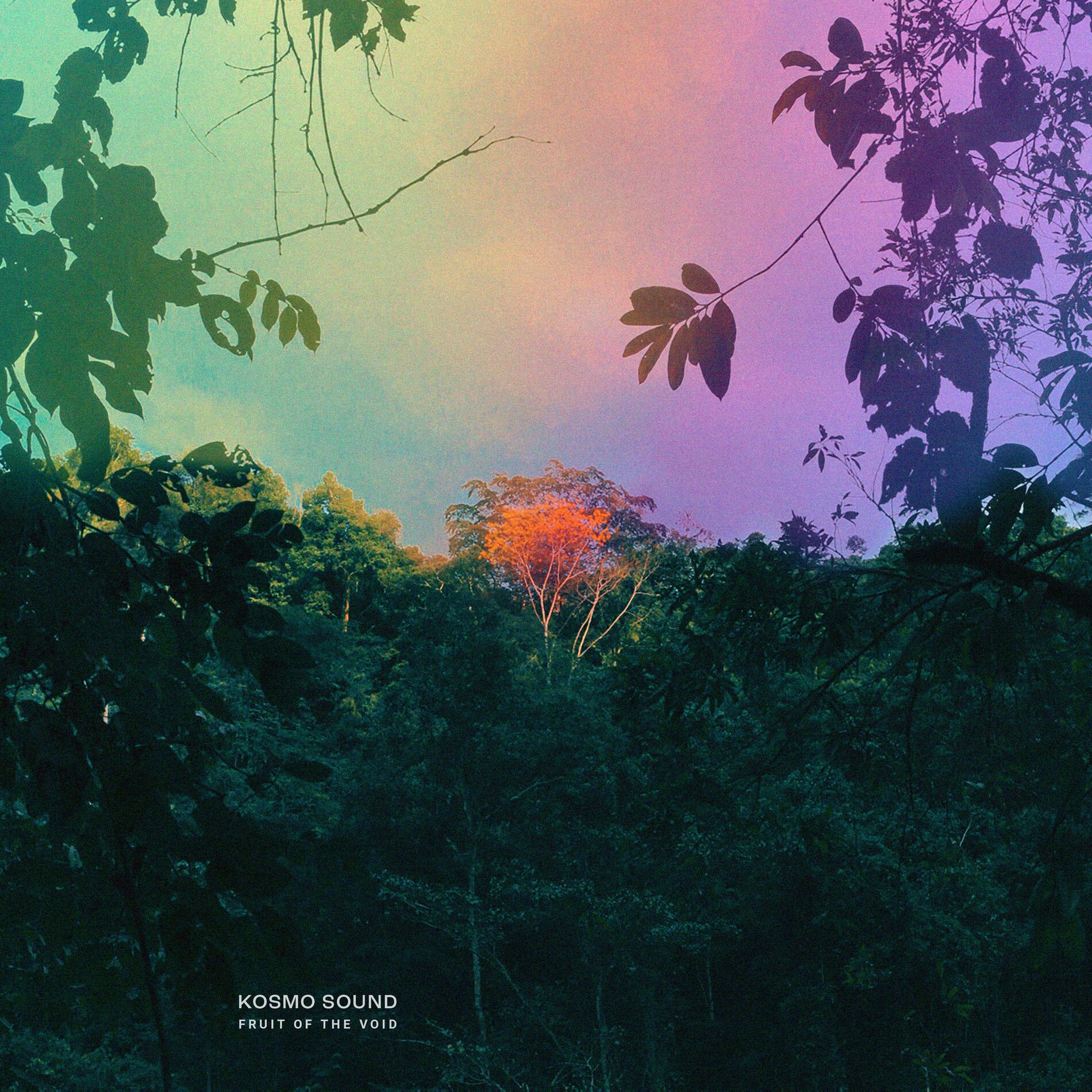 Album cover of Ferocious