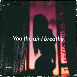 Cover of You The Air I Breathe