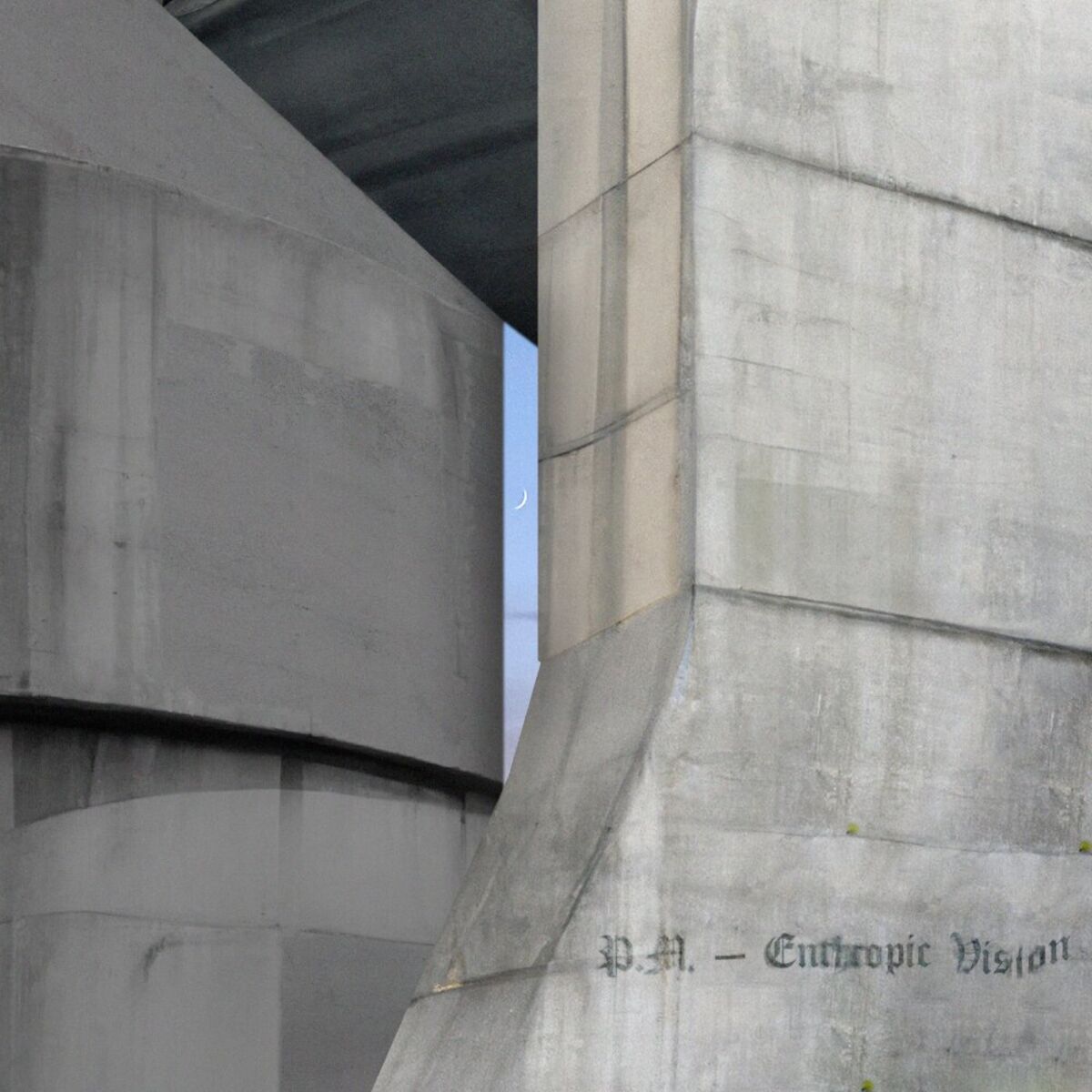 Album cover of Enthropic Vision