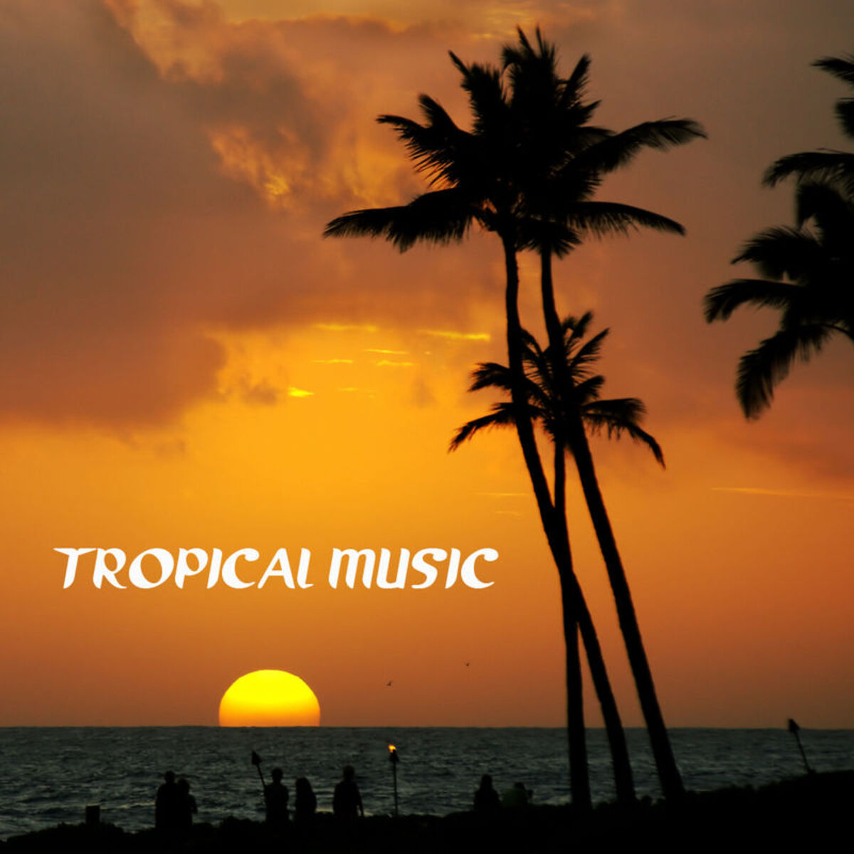 SABROSO the best of tropical latinラテンベスト 洋楽