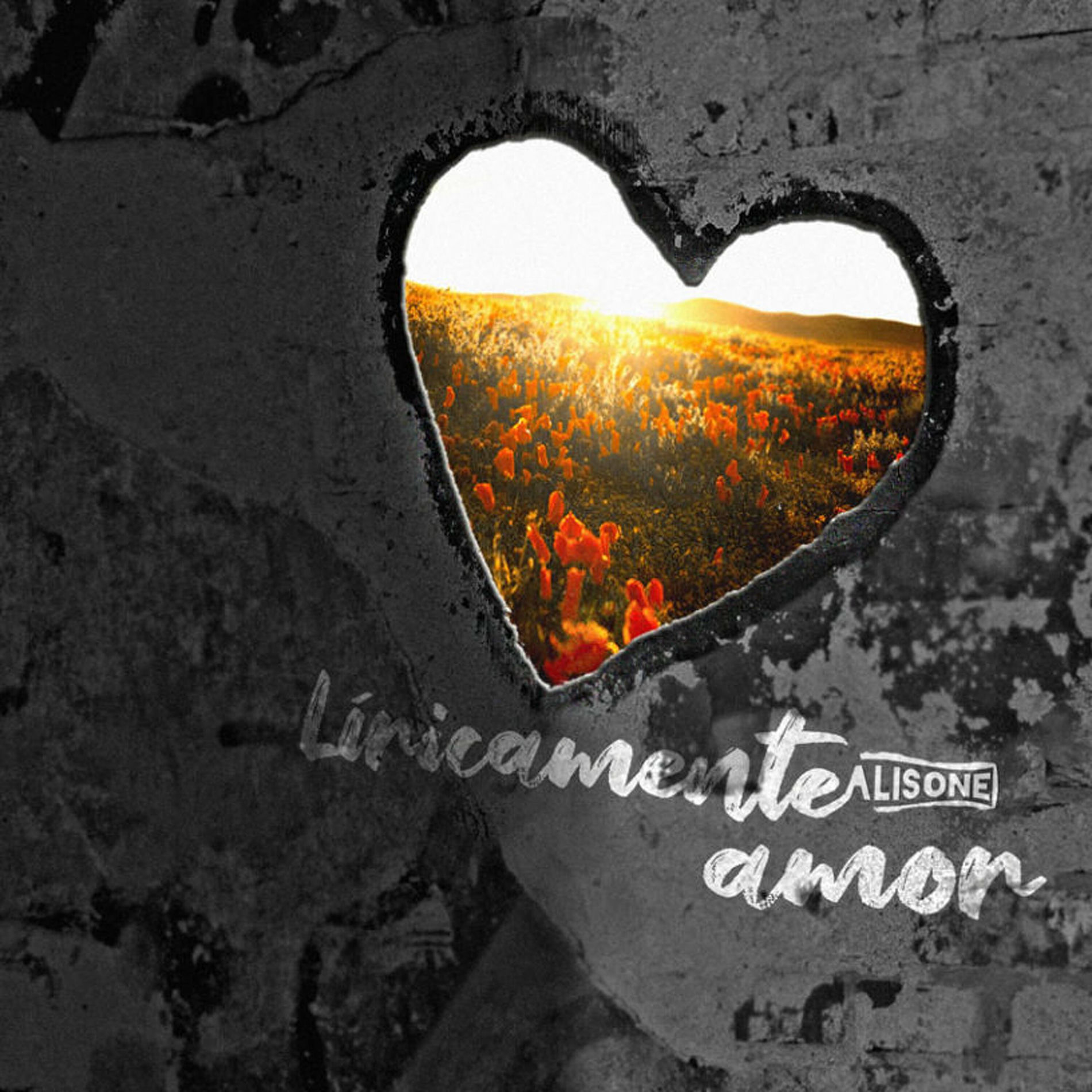 Album cover of Líricamente Amor