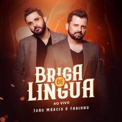 Cover of Briga de Língua (Ao Vivo)