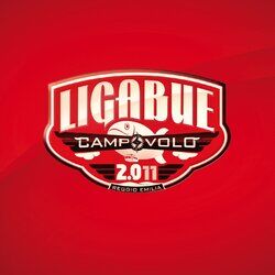 Cover of Campovolo 2.011
