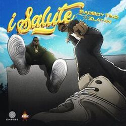 Cover of I Salute