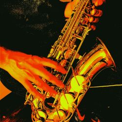 Cover of Orange