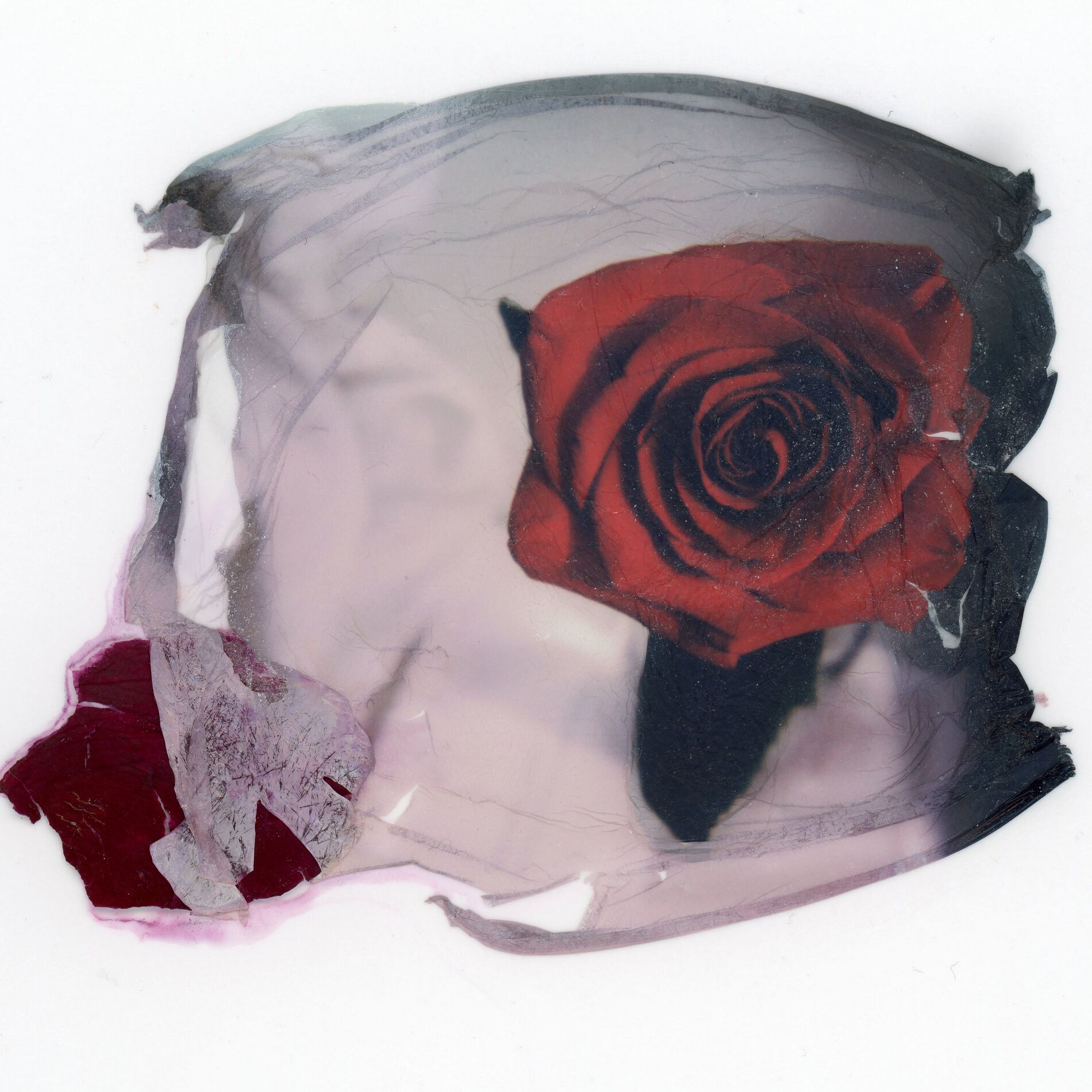 Album cover of Smile