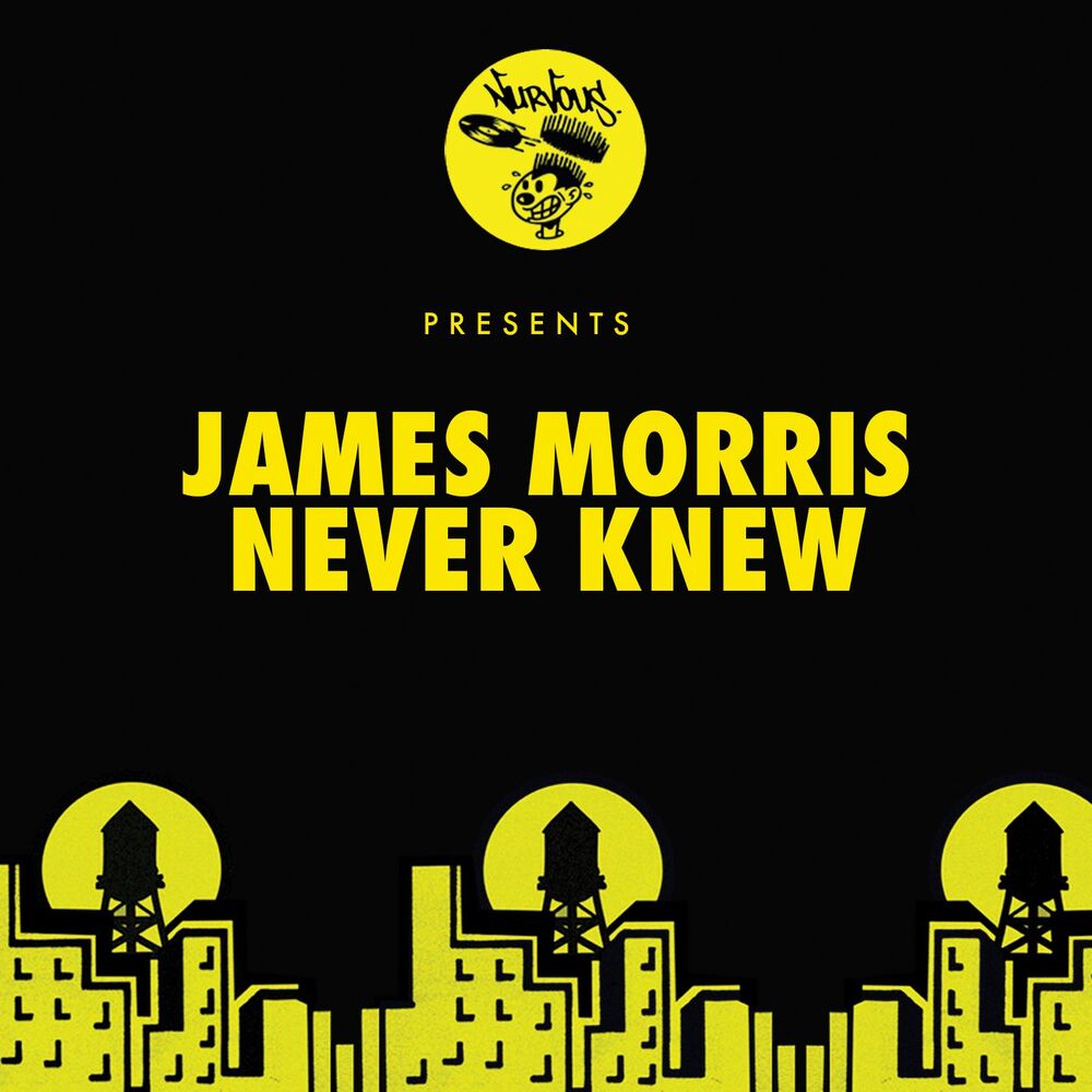 Picture of Never Knew