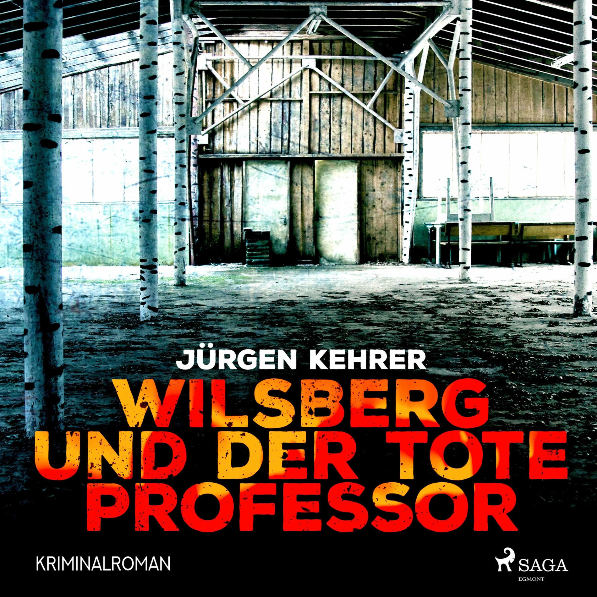 Album cover of Wilsberg und der tote Professor - Kriminalroman (Ungekürzt)