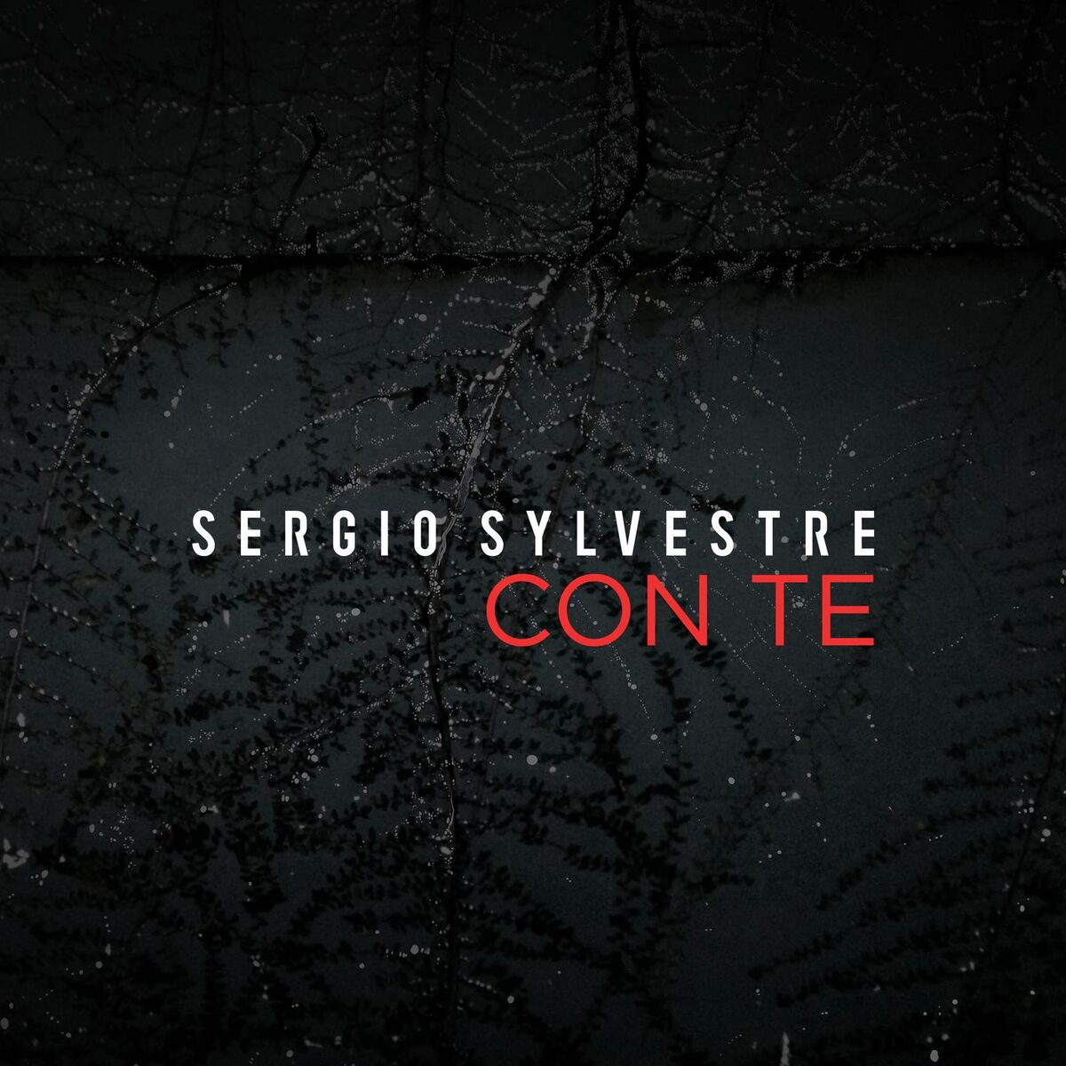Album cover of Con te