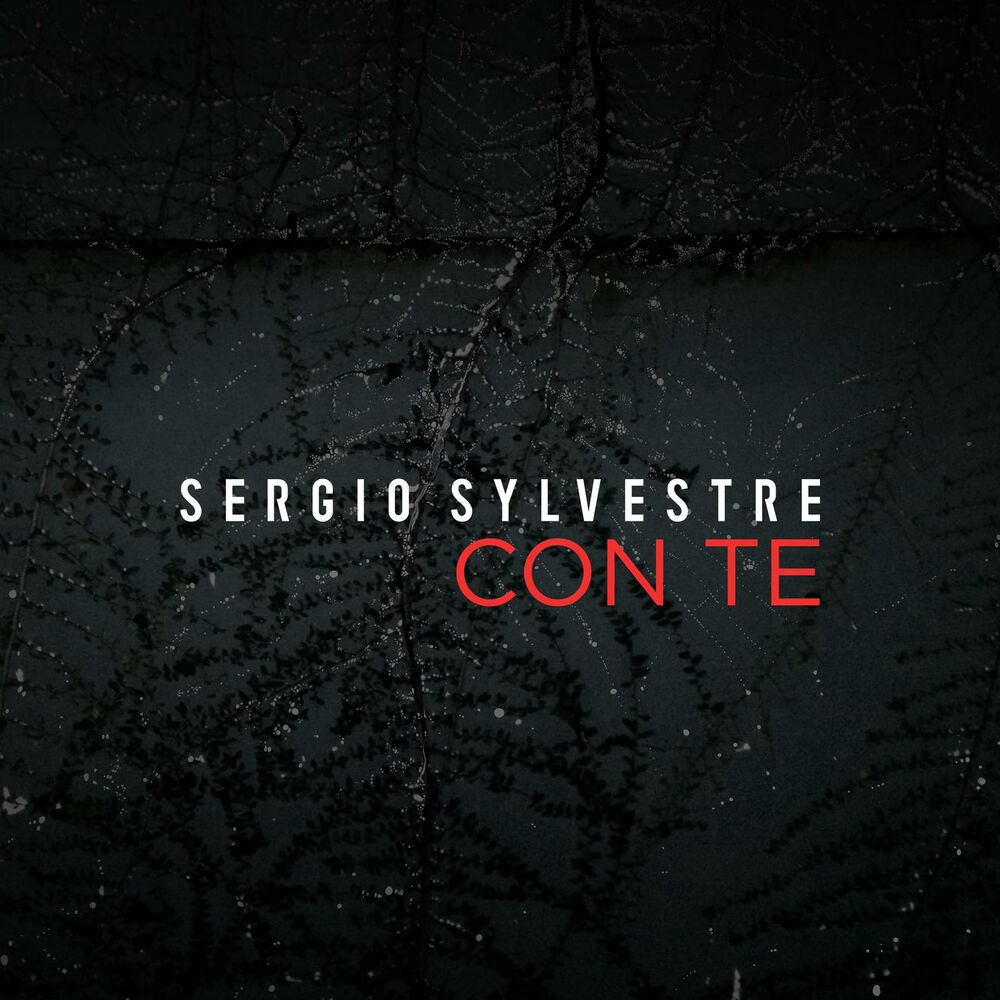 Picture of Con te