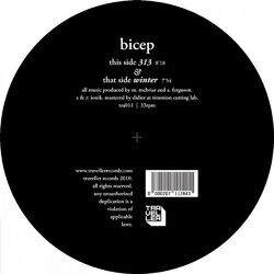 Cover of 313